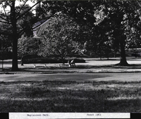 Photo only available in the library